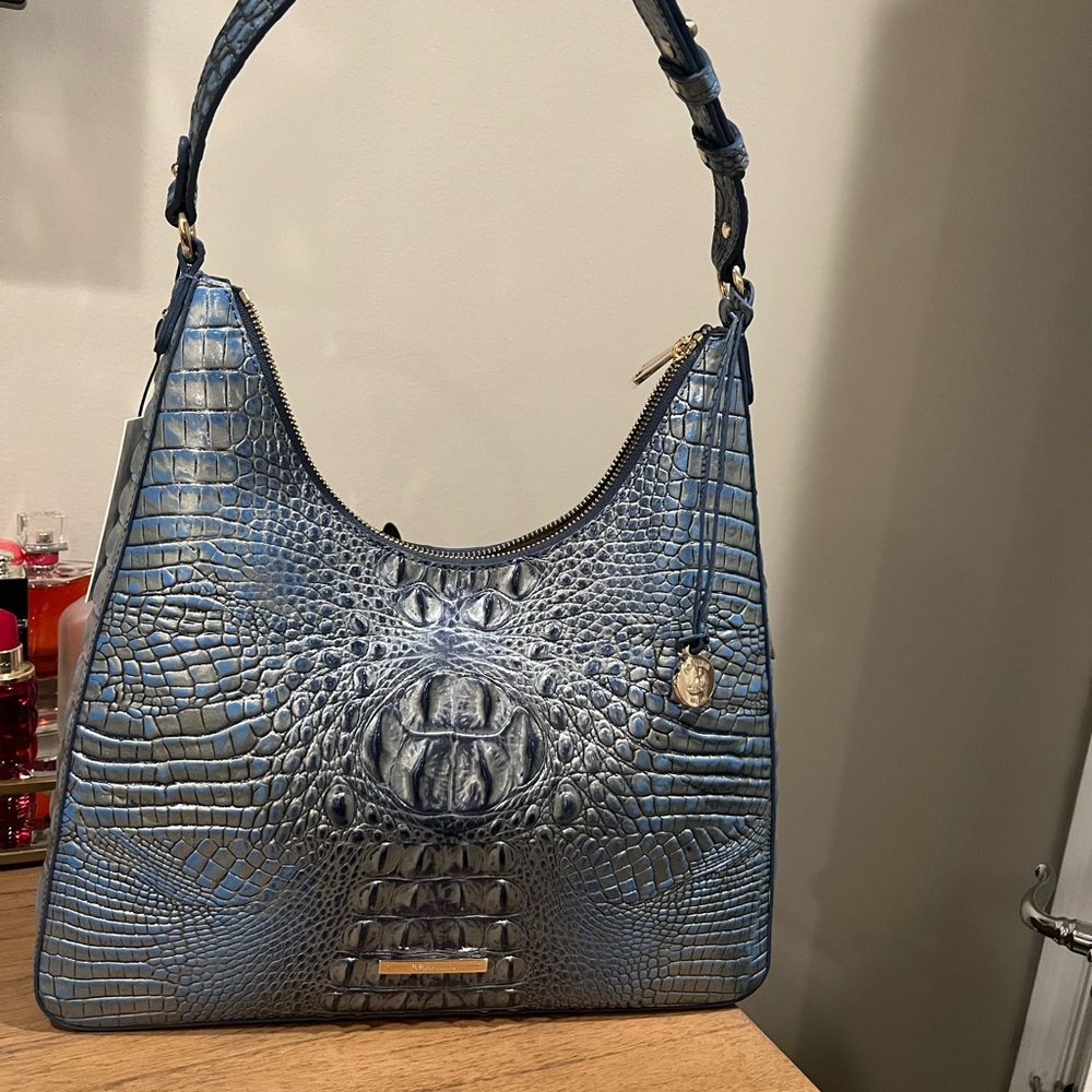 Brahmin tabitha
